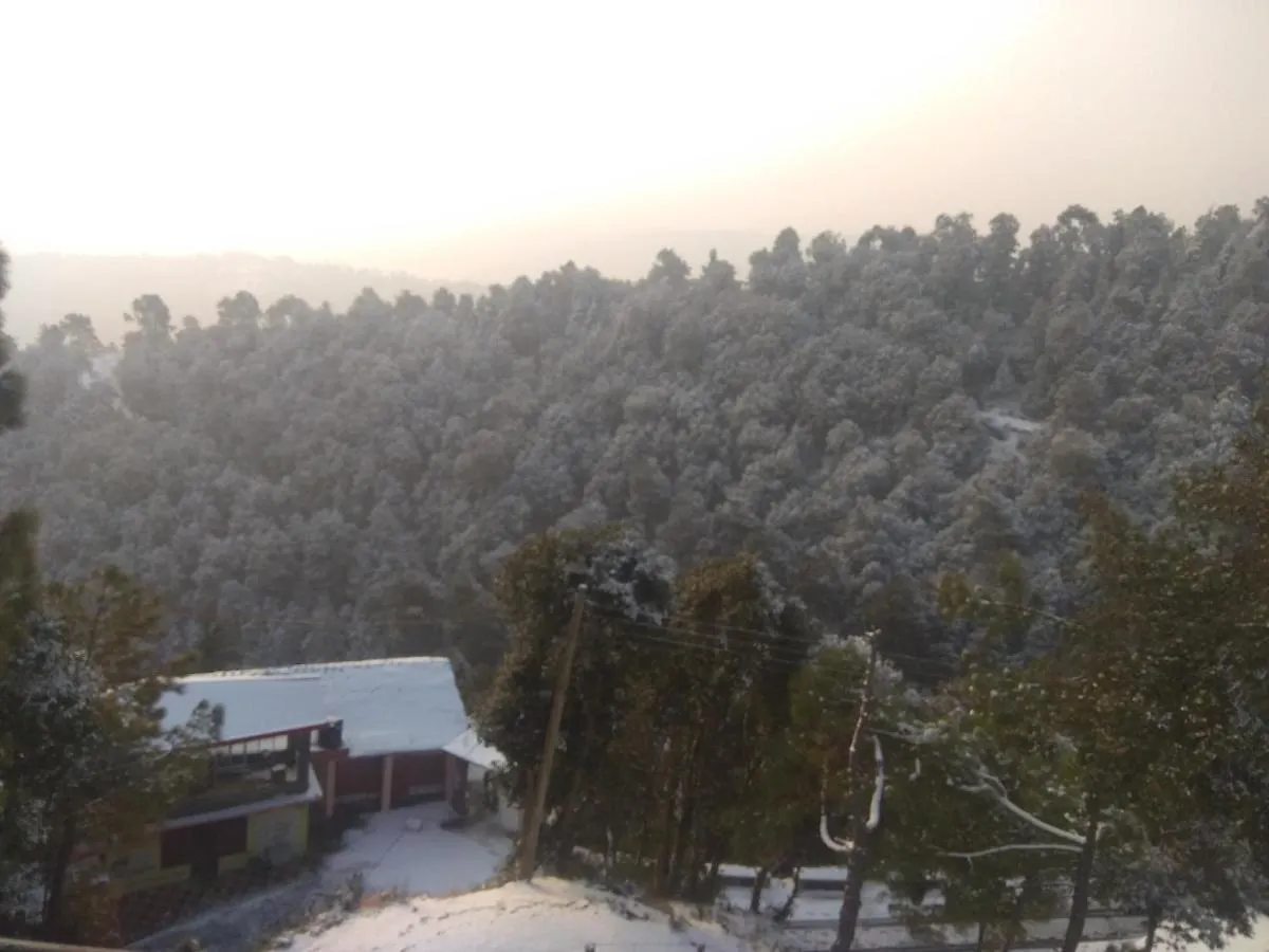 A.R . Homestay Shimla India