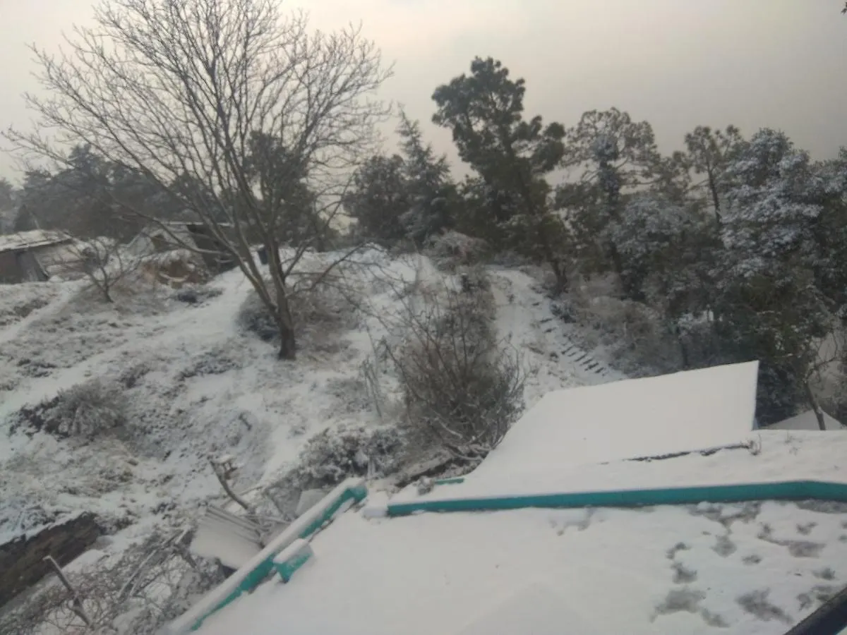 A.R . Homestay Shimla